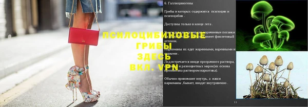 ешки Нягань