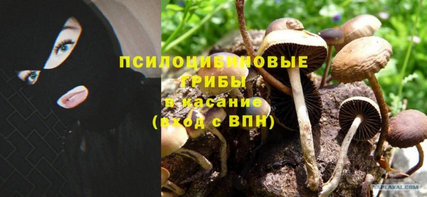 бутират Няндома