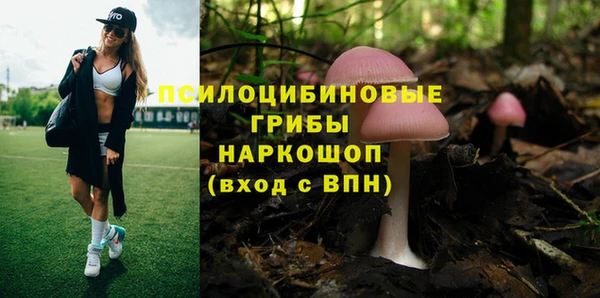 ешки Нягань