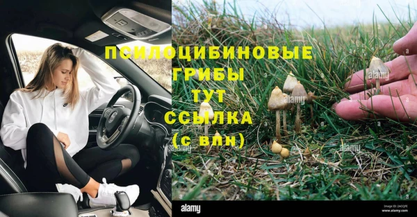 гидра Новозыбков